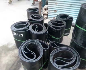 環(huán)型輸送帶 (2)